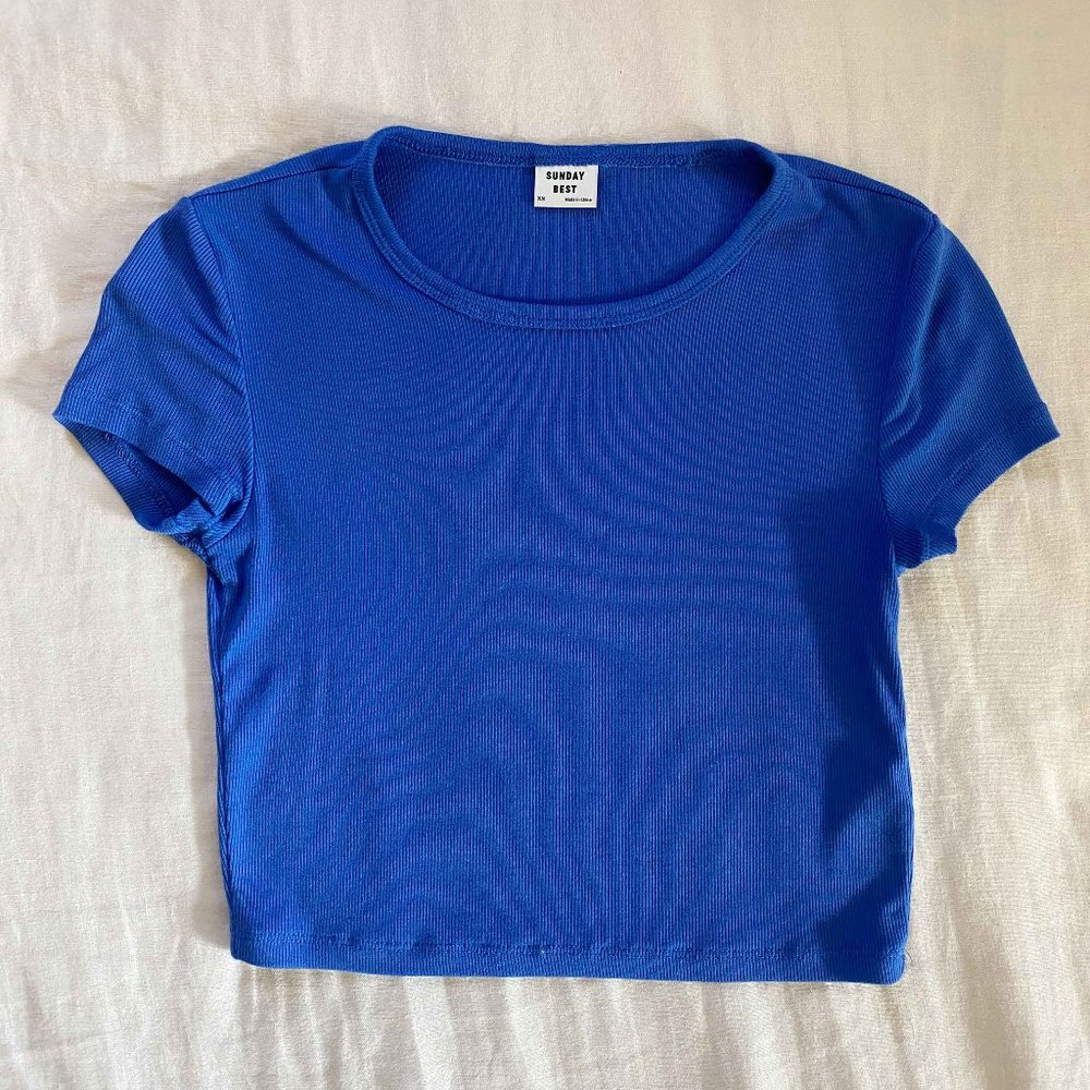 Aritzia Sunday Best Bliss Cropped T-Shirt